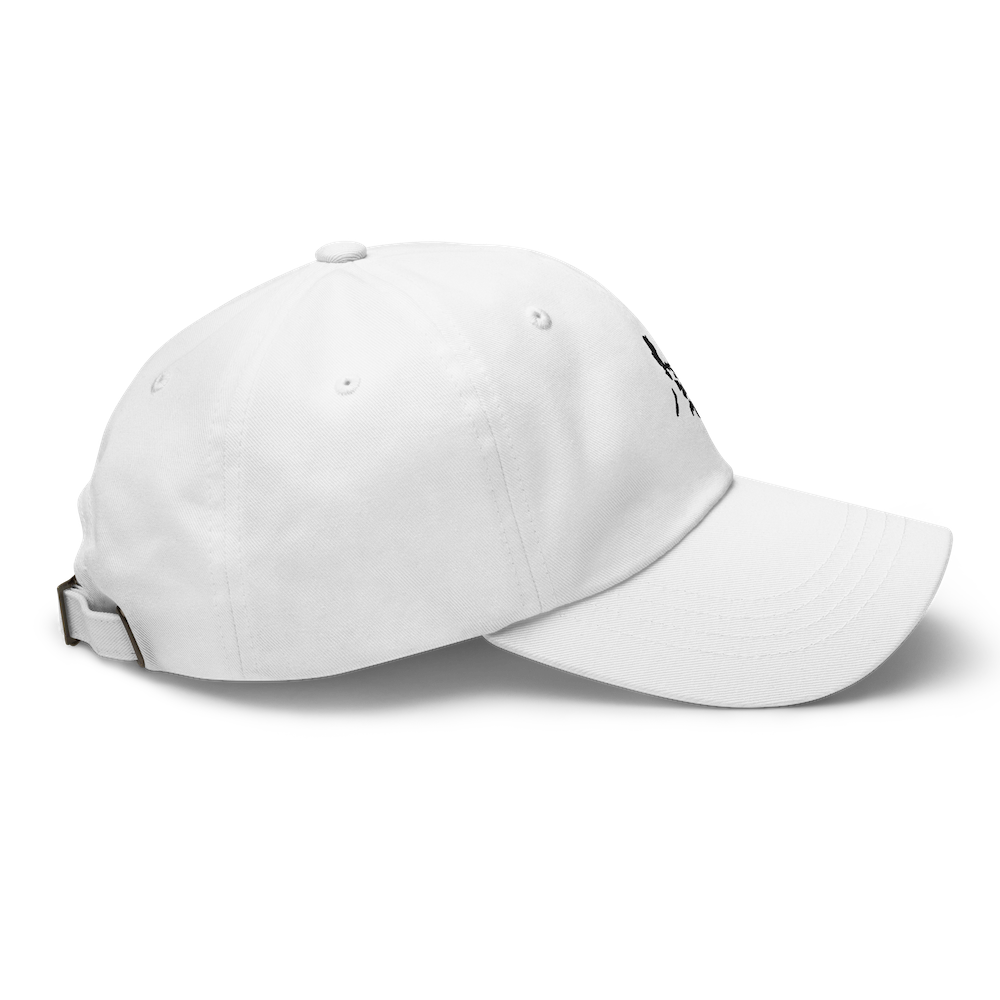 ISLANDS Hat