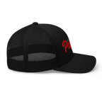 Baseball Script Trucker