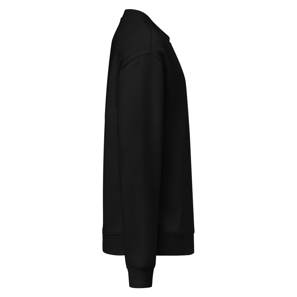 SUN Sweatshirt
